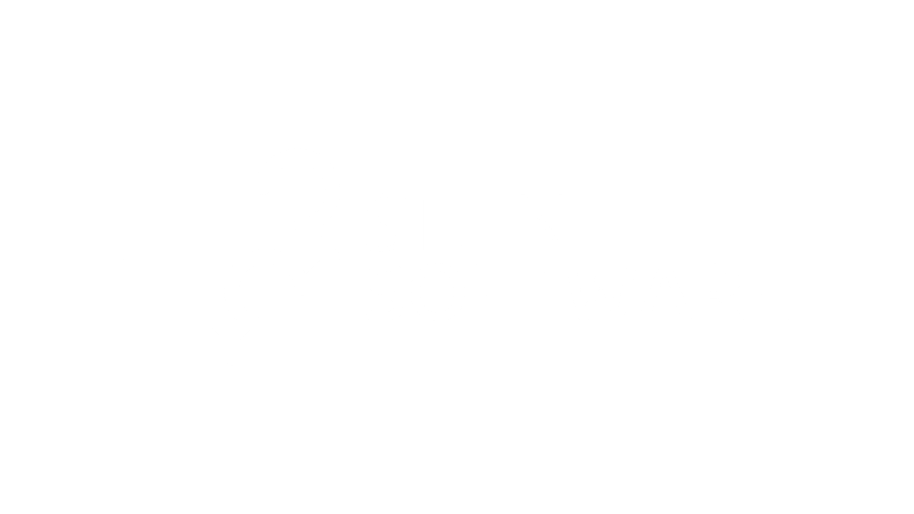 stein-software